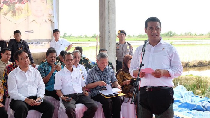 Lewati La Nina dan El Nino, RI Tak Impor Pangan Strategis