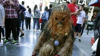 Tampak pula Chewbacca memberikan bunga pada Princess Leia Organa. Greg Doherty/Getty Images/detikFoto.