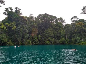Tahun Baru di Berau, Wakil Ketua MPR Promosikan Pariwisata Lokal