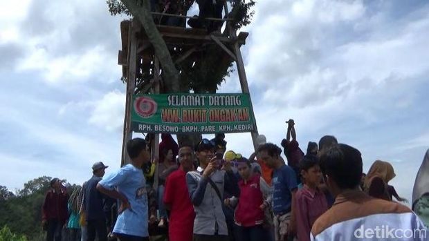 Wana Wisata Bukit Ongakan bisa jadi opsi wisata liburan Tahun Baru (Andhika/detikTravel)