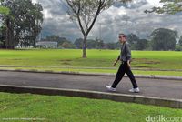 Jokowi Awali Tahun 2017 dengan Jogging di Kebun Raya Bogor