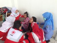 Kapal Wisata Terbakar di Jakut, BNPB: 2 Orang Tewas dan 7 Luka