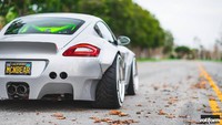 Modifikatornya menambahkan lengkungan roda yang sangat lebar, bootlid lip spoiler yang besar, roll cage hijau terang dan sistem exhaust baru.