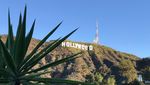 Papan Nama Hollywood Dijahili Orang