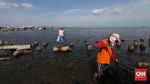 Foto: Melihat Lagi Kondisi Sampah di Teluk Jakarta