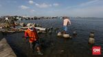 Foto: Melihat Lagi Kondisi Sampah di Teluk Jakarta