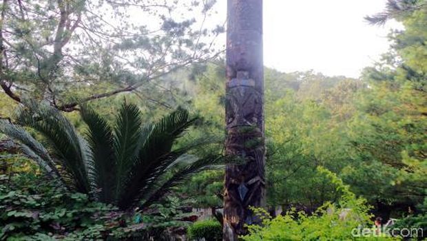 Totem terbuat dari batang pohon utuh yang dipahat tangan (Wahyu/detikTravel)