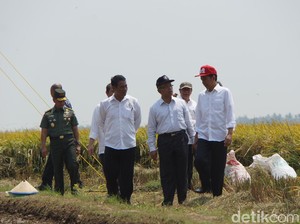 Ini Jurus Kementan Tingkatkan Produksi Pangan RI