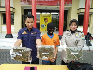 3 Kilogram Ganja Disita dari Mantan Napi Lapas Nusa Kambangan