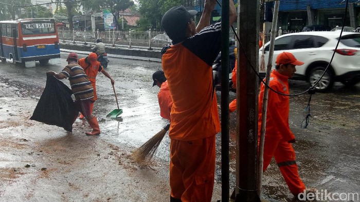 Pohon Tumbang di Buncit Jaksel, Petugas Betulkan Kabel yang Menjuntai