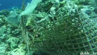 Ada juga Bubu yang sudah rusak dan ditinggalkan begitu saja. Bubu ini dikelilingi oleh karang mati dan plastik (Bonauli/detikTravel)