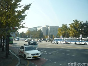 Korea Selatan dan Masifnya Pejuang Tidur