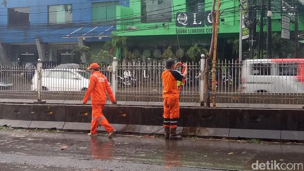 Pohon Tumbang di Buncit Jaksel, Petugas Betulkan Kabel yang Menjuntai