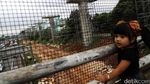 Proyek LRT Jabodebek Dikebut