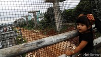 Dengan demikian, ada 25 stasiun yang akan jadi tempat pemberhentian kereta ringan ini.