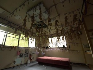 Luar Biasa Aneh, Jepang Punya Kuil Bra yang Misterius