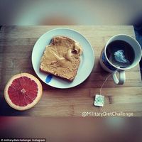 Diet Gaya Tentara Ini Diklaim Bisa Turunkan Berat Badan 4,5 Kg per Minggu