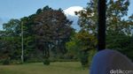 Disapa Gunung Fuji di Jepang