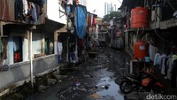 Data BPS mencatat, sebanyak 21,98 persen penduduk miskin berada di Maluku dan Papua dengan jumlah mencapai 1,55 juta orang. Diikuti Bali dan Nusa Tenggara 14,72 atawa sebanyak 2,11 juta orang, Sulawesi 10,97 persen (2,09 juta orang), Jawa 10,09 persen (14,83 juta orang), Sumatra 11,03 persen (6,21 juta) dan Kalimantan 6,45 persen (0,97 juta).