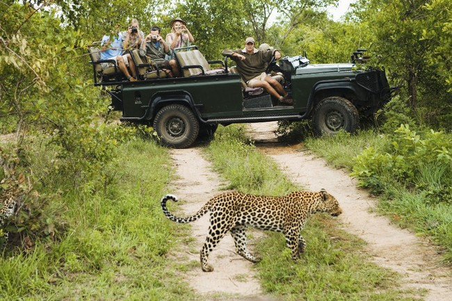 Puaskan Jiwa Petualangmu, Coba Safari di Afrika