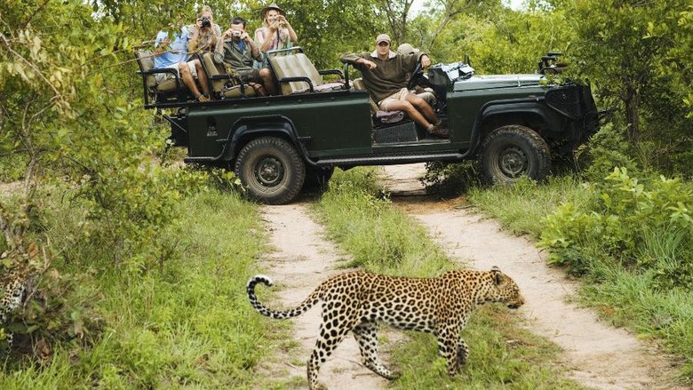 Foto: (Thinkstock) Foto: (Thinkstock)