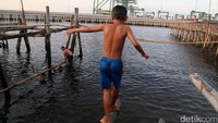 Anak-anak nelayan Kalibaru, Cilincing, Jakarta menghabiskan sore dengan berenang.