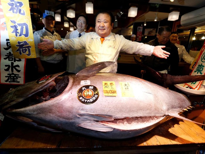 Fantastis! Tuna Bluefin 212 Kg Dilelang Rp 8 M di Jepang