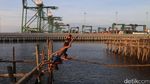 Karena Bahagia Itu Sederhana