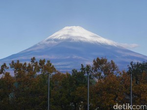 Liburan Seru di Jepang, Kunjungi 6 Destinasi Ini