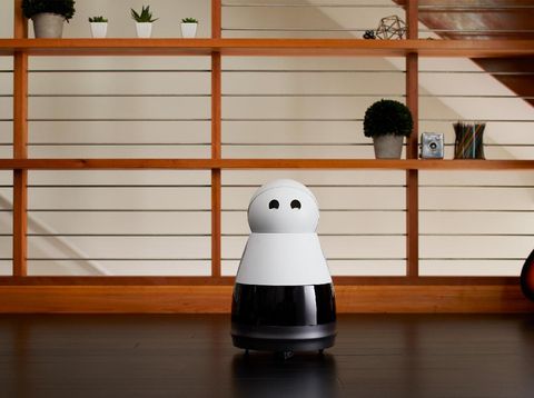Kenalkan Kuri, Si Robot Gemes dari Jerman