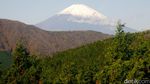 Siapa Kangen Jepang? Lihat Dulu Foto-foto Indahnya Gunung Fuji