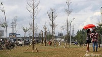 Lokasi yang memiliki luas sekitar 1,5 hektar ini juga dibangun taman, yang nantinya akan memberikan suasana sejuk.