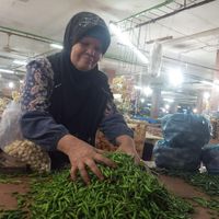 Harga Cabai Rawit di Medan Naik, Tembus Rp 90/Kg