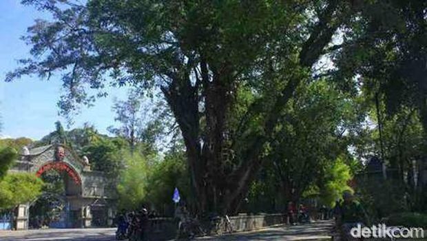 taman