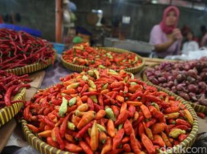 Hari Ini, Harga Cabai Rawit di Denpasar Turun Jadi Rp 49 Ribu Per Kilo