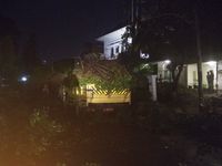 Diterpa Hujan dan Angin Kencang, Pohon Beringin Tumbang di Menteng