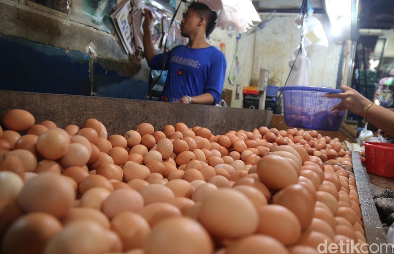 Akhir Juli Ini Harga Telur-Daging di Bandung Diprediksi Normal Akhir Juli Ini Harga Telur-Daging di Bandung Diprediksi Normal
