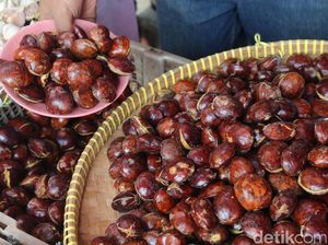 Harga Jengkol di Jakarta Nyaris Rp 100.000/Kg