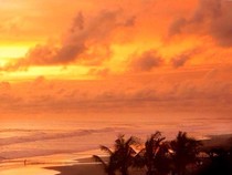 Pesona Pantai Jetis Cilacap, Lokasi, Tarif Masuk, dan Aktivitas yang Menarik