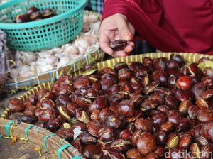 Pasokan Berkurang, Harga Jengkol Merangkak ke Rp 30.000/Kg