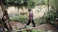 Dikesempatan itu, Ahok juga terlihat mengecek kondisi Kali Ciliwung di kawasan tersebut.