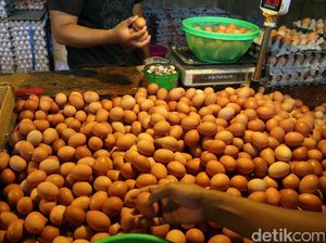 Naik Rp 2.000, Harga Telur Ayam Negeri Jadi Rp 25.000/Kg