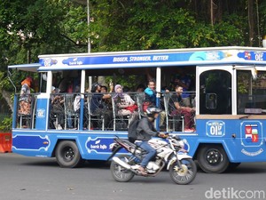 Naik Bus Wisata di Bogor, Gratis Lho!