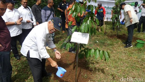 5 menteri tanam pohon di hulu Sungai Brantas