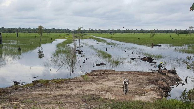 Kado Awal Tahun, PLN Listriki Desa di Barito Timur