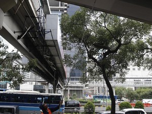 Mulai Terkuak Misteri Sosok Pria BAB di JPO Semanggi