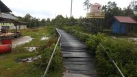 Cerita PLN Tembus Rawa Demi Melistriki Desa Terpencil di Kalteng