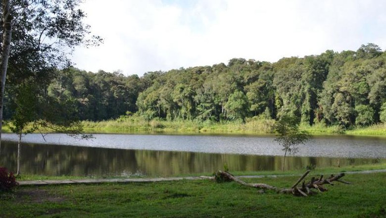 Tak Direstui Ortu, Sepasang Kekasih Bunuh Diri Terjun ke 