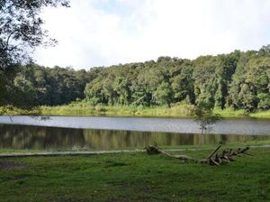 Danau Tambing, Pesona Alam di Taman Nasional Lore Lindu
