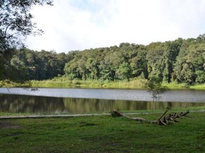 Danau Tambing, Pesona Alam di Taman Nasional Lore Lindu